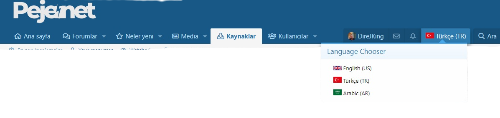 xenforo çoklu dil eklentisi.png
